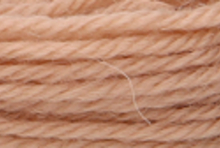 Anchor Tapisserie Wool: 10m: Skein 9634