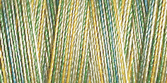 Machine Embroidery Thread Variegated - Cotton No.30: 300m 4013 (Row 26)