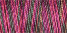 Machine Embroidery Thread Variegated - Cotton No.30: 300m 4039 (Row 25)