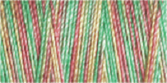 Machine Embroidery Thread Variegated - Cotton No.30: 300m 4041 (Row 26)
