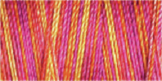 Machine Embroidery Thread Variegated - Cotton No.30: 300m 4043 (Row 25)
