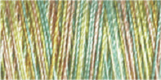 Machine Embroidery Thread Variegated - Cotton No.30: 300m 4101 (Row 26)