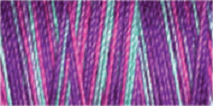Machine Embroidery Thread Variegated - Cotton No.30: 300m 4110 (Row 25)