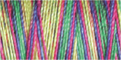 Machine Embroidery Thread Variegated - Cotton No.30: 300m 4115 (Row 26)