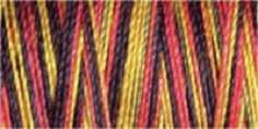 Machine Embroidery Thread Variegated - Cotton No.30: 300m 4117 (Row 24)