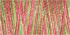 Machine Embroidery Thread Variegated - Cotton No.30: 300m 4122 (Row 25)