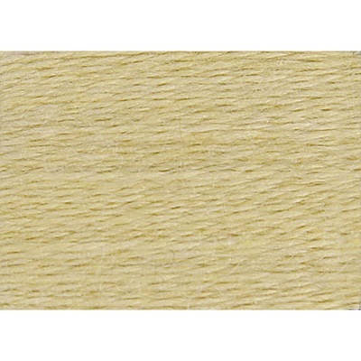 Eco Vita Organic Wool - 201