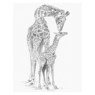 Giraffe & Baby SKBN13
