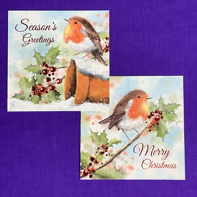 Robins Christmas Card - Pack of 12 cards
