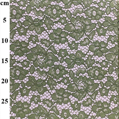 100% Polyester Corded Lace - 01-JLL0002 Pistachio