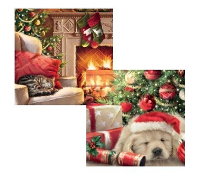 Cat & Dog Christmas Card - Pack of 10 cards