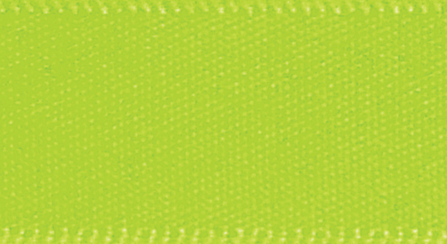 Double Faced Satin Ribbon Apple 9793 - 1m.