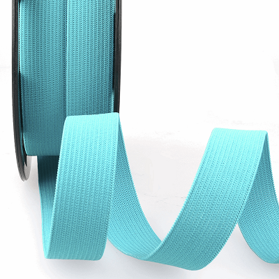 S1908B Ribbon: Elastic - Turquoise 005 - 1m