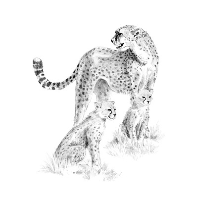 Cheetah & Cub SKBN15