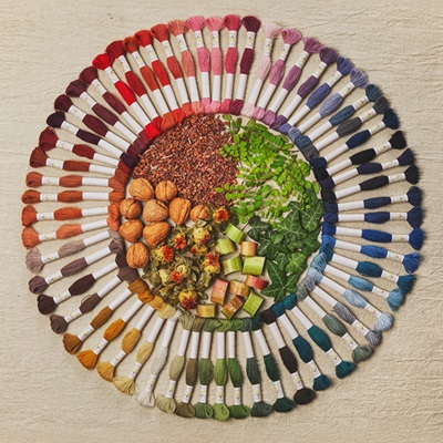 DMC Eco Vita - Organic Wool