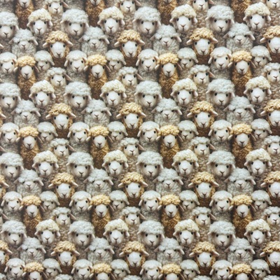Digitaly Printed Poly-Cotton - Sheep - Natural - C15 PCD027